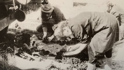 Эксгумация жертв НКВД в Демьяновом Лаге