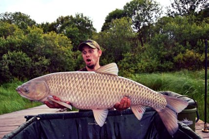 Как выглядит амур белый