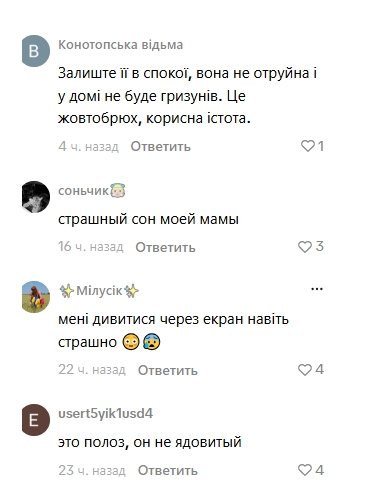 Користувачі радять залишити змію у спокої