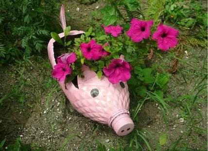 Мини-клумба для петуний