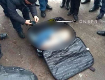 Белоус Дария