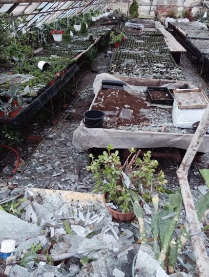 Зруйнована теплиця  на Полтавщині