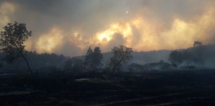 Пожары в Украине