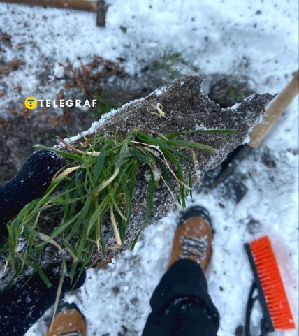 дослідження