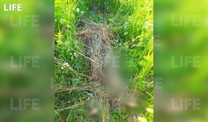 Кэтрин Сироу убили