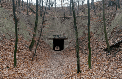 Лиса гора в Києві