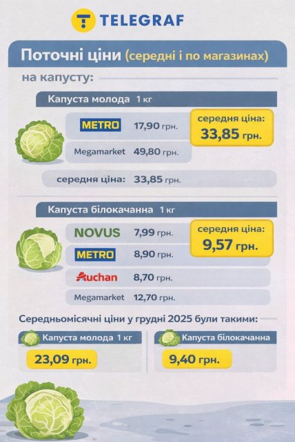 Цены на капусту в январе 2026 года, инфографика