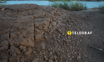 Сухая Московка, Запорожье растет вербами