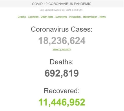 Статистика коронавируса на 3.08.2020