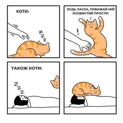 Мем кот не дает себя гладить, но ложится спать на лицо