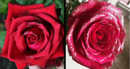 Роза с блестками