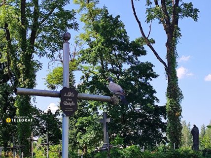 кладбище в Хмельницком