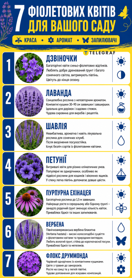 Какие фиолетовые цветы посадить в саду в мае