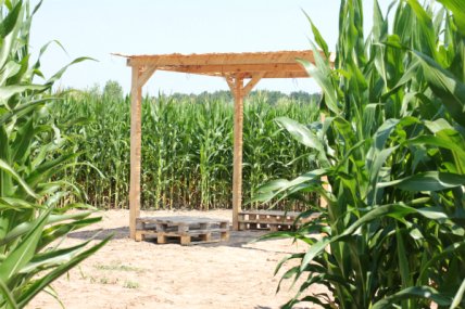 Детский Киев: кукурузный лабиринт Кукулабия. Отзывы и фото - изображение №3