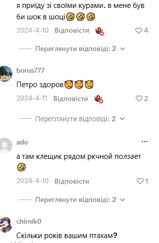 Коментарі користувачів