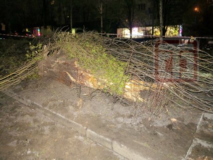 авария с Инфинити в Киеве