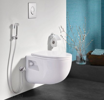 Душ для гігієни після туалету поруч з унітазом