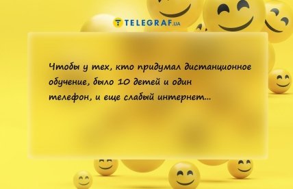 анекдот о дистанционном обучении