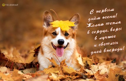 Открытки первым днем осени