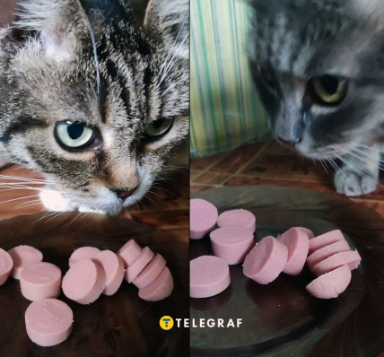 Чи їдять коти найдешевші сосиски з Сільпо