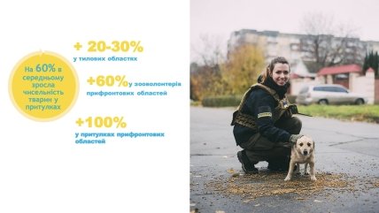 Фото зооволонтеров