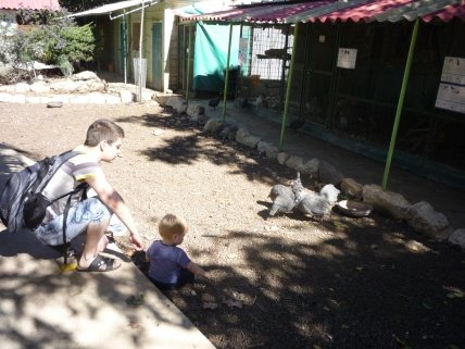 Воспитание в Израиле: страна, где детям можно все - изображение №2