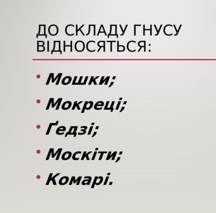 Что такое гнус
