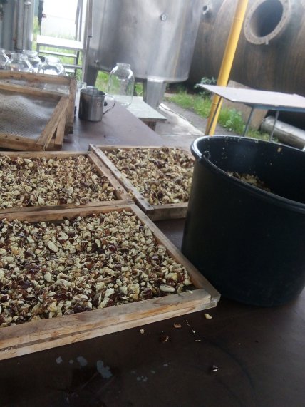 каштани подрібнені