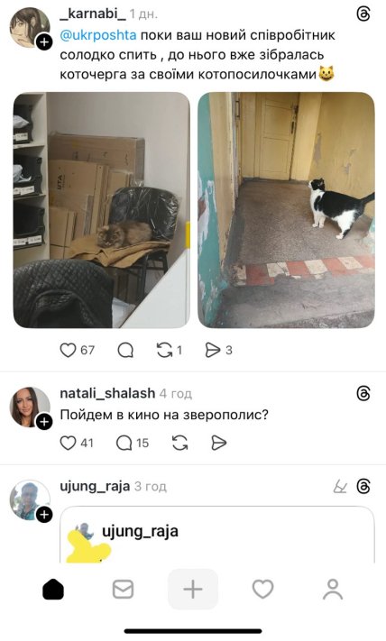 Коти на Укрпошті