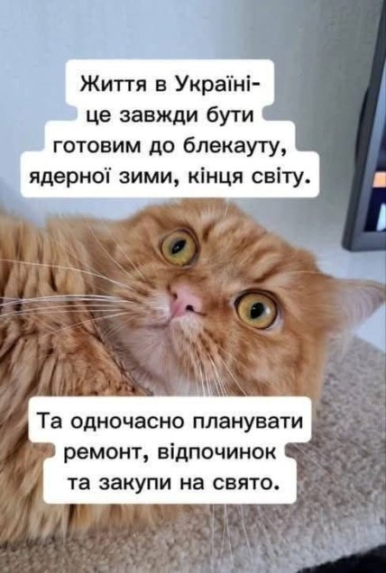 Мем з котом про життя в Україні