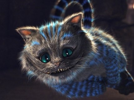 семейная афиша 24 и 25 сентября выходные с ребенком в киеве, куда сходить с ребенком в выходные, куда пойти в киеве на выходных, куда пойти с ребенком 24 и 25 сентября