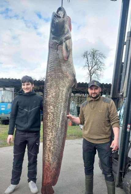 Австриец поймал большого сома, весившего 109 килограммов