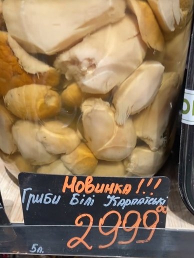 Грибы белые карпатские