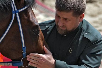 Кадиров і його кінь Зазу