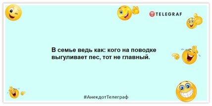 Анекдоты про главного в семье