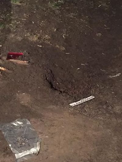 Геращенко считает, что на Парасюка было совершено покушение