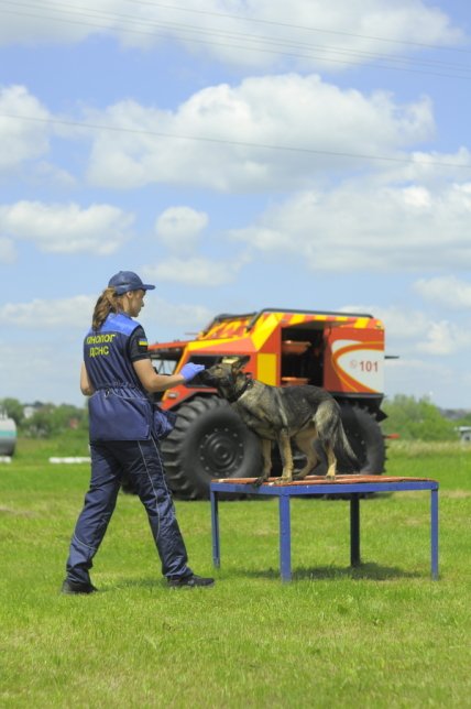 кинолог с собакой