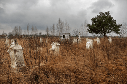 Остатки бывшего немецкого кладбища в селе Ровно
