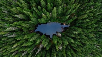 Андрей Чуяшенко, лицензия CC BY-SA 4.0