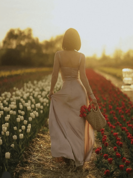 Парк Paradise с тюльпанами в Закарпатье