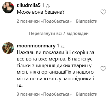 Лиса спала в Кривом Роге — комментарии