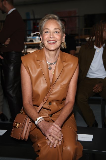 Шэрон Стоун в стильном костюме