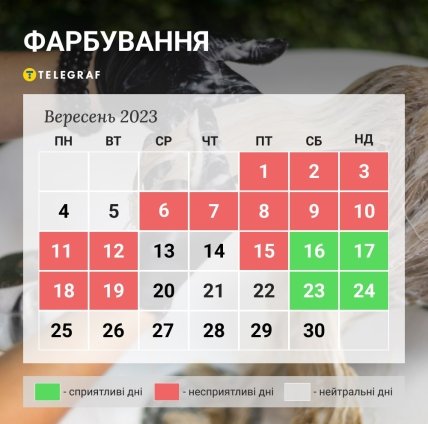 Коли можна фарбувати волосся у вересні