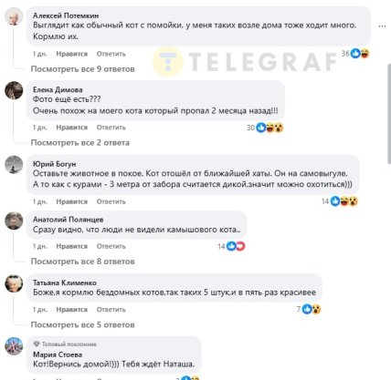 Рідкісного хижака побачили на Одещині - під фото жартують