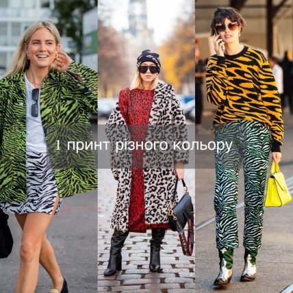 Як стильно поєднувати анімалістичний принт