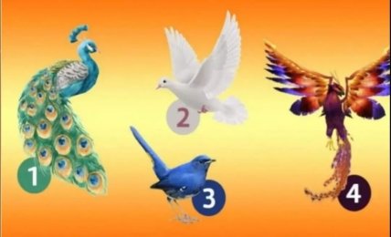 Психологический тест по картинке