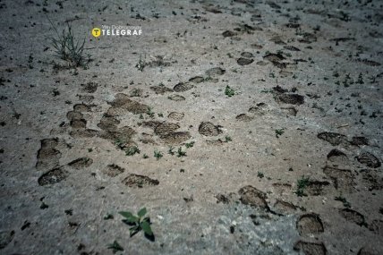 Каховське водосховище сьогодні через місяць після підриву ГЕС