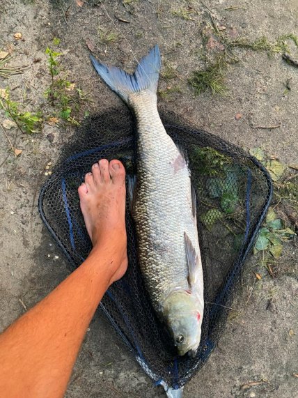 Белье жерех размер