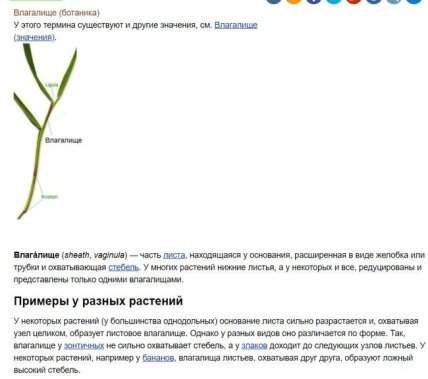 Термин в учебнике биологии вызвал споры украинцев