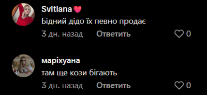 Стрый петух